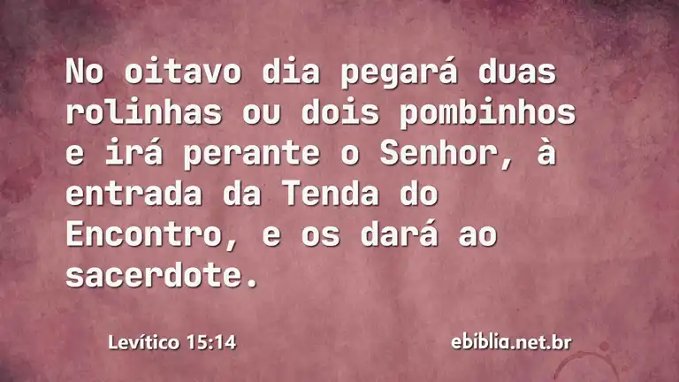 Levítico 15:14