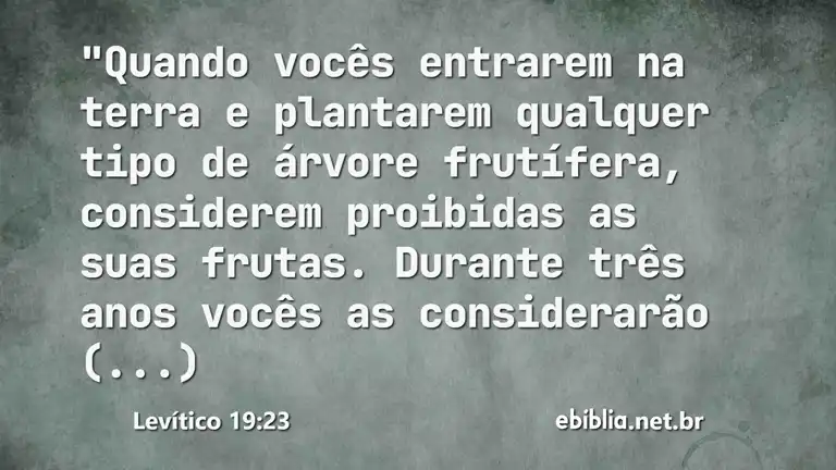 Levítico 19:23