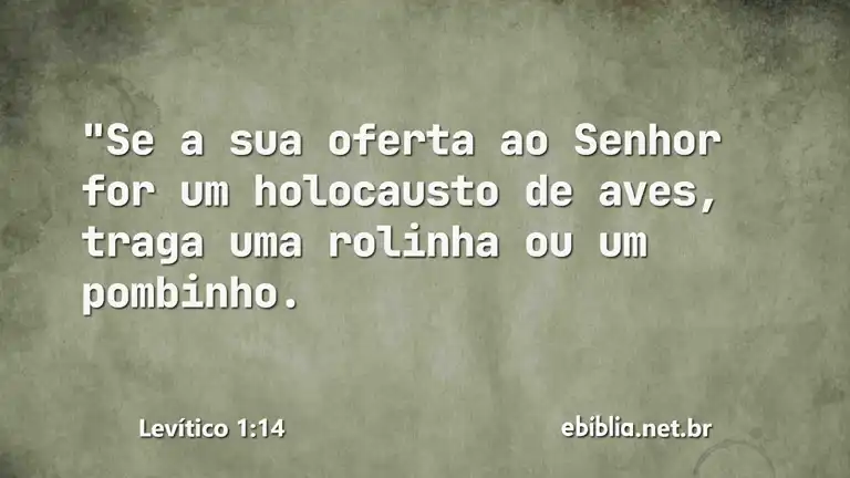 Levítico 1:14