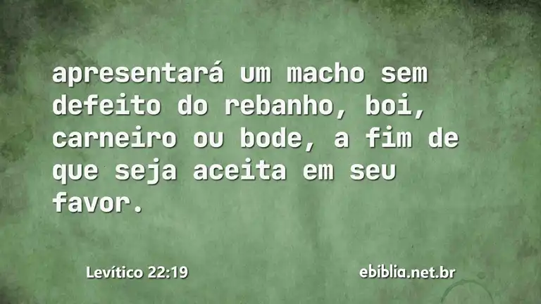 Levítico 22:19