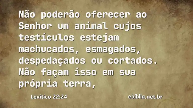 Levítico 22:24