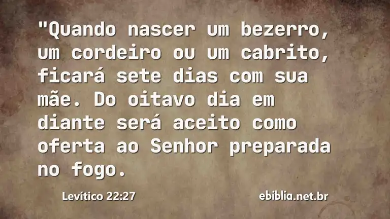 Levítico 22:27