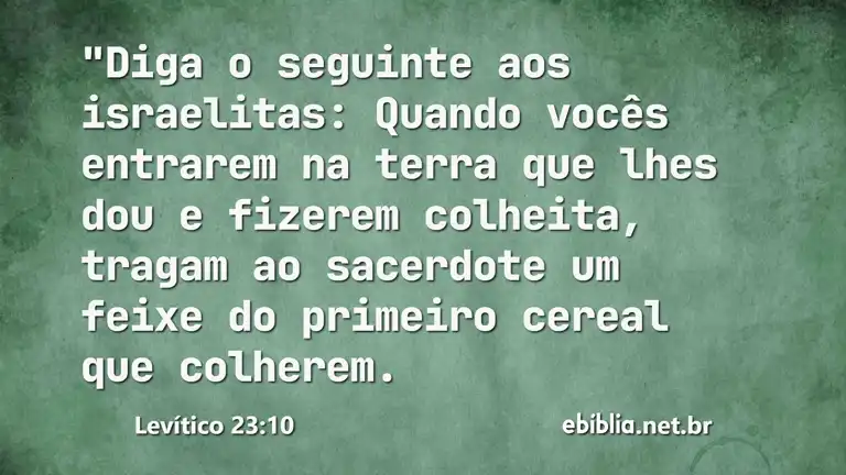 Levítico 23:10