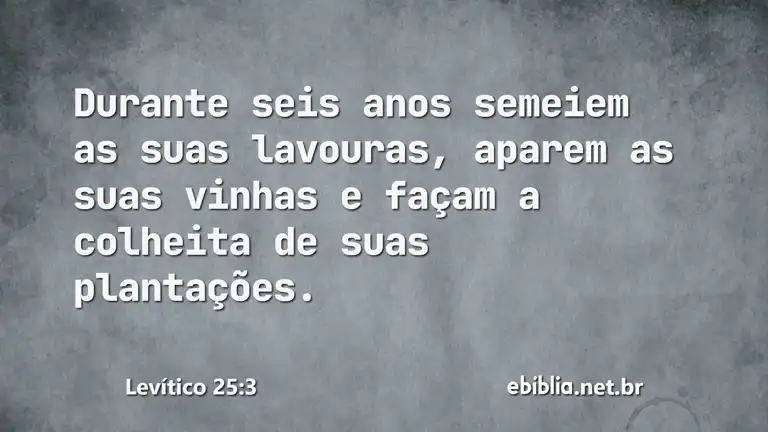 Levítico 25:3