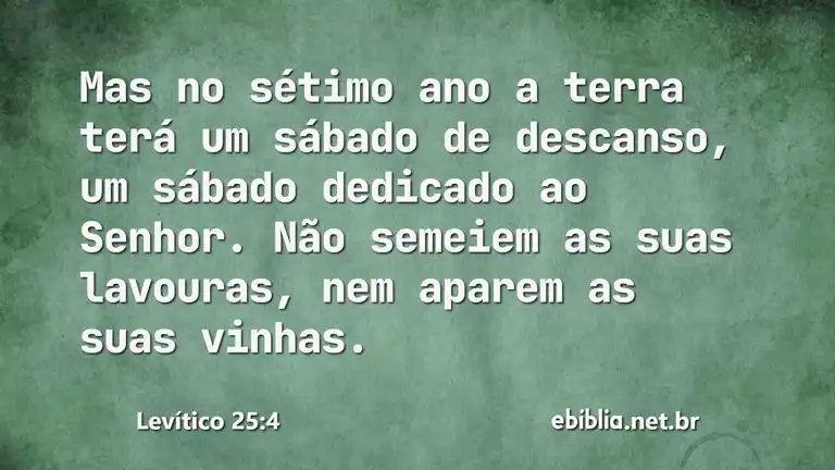 Levítico 25:4