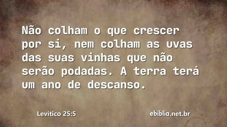 Levítico 25:5