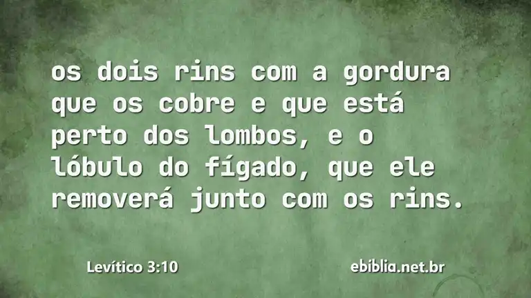 Levítico 3:10