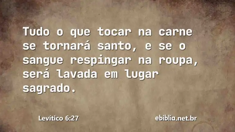 Levítico 6:27