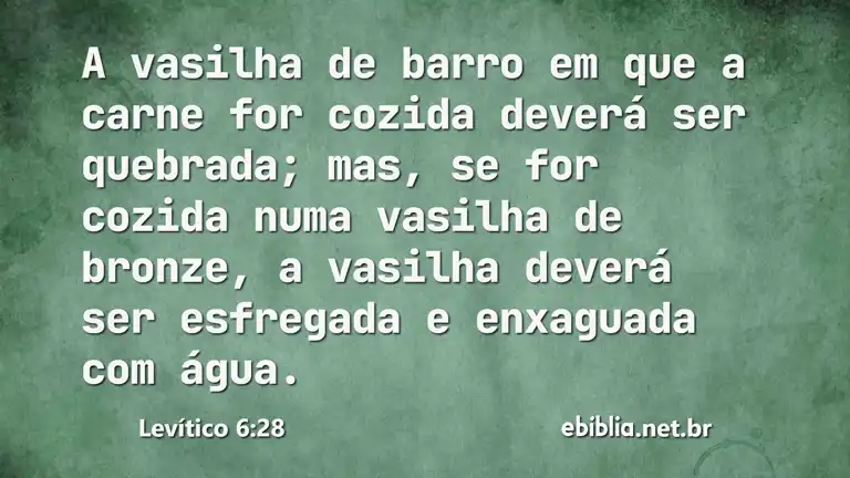 Levítico 6:28