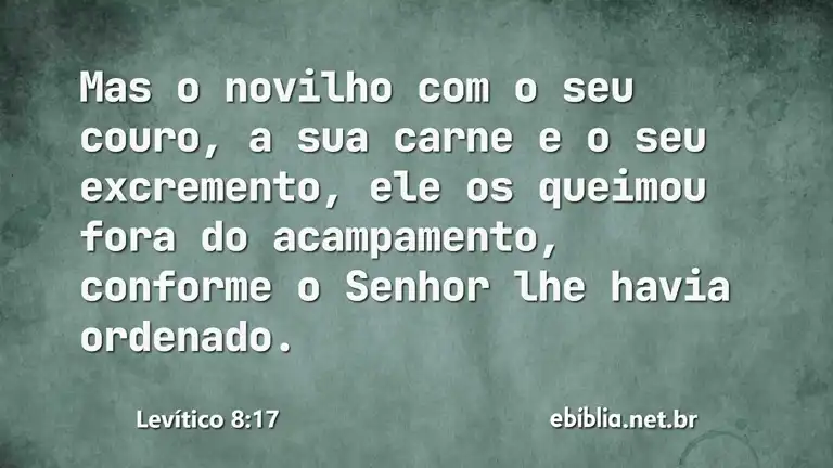 Levítico 8:17