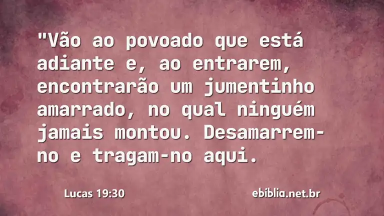 Lucas 19:30