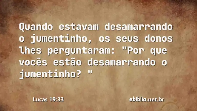 Lucas 19:33