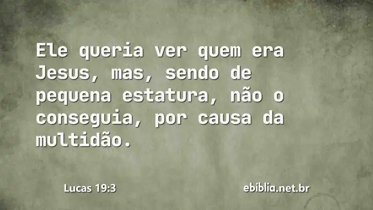 Lucas 19:3