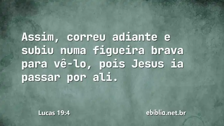 Lucas 19:4