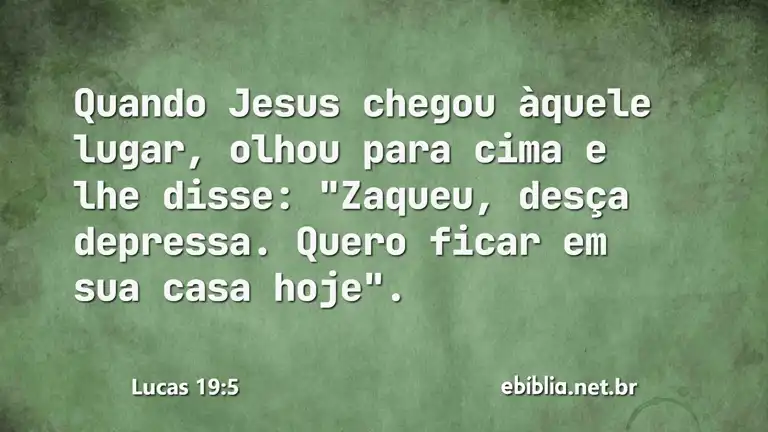 Lucas 19:5