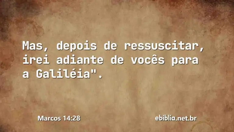 Marcos 14:28