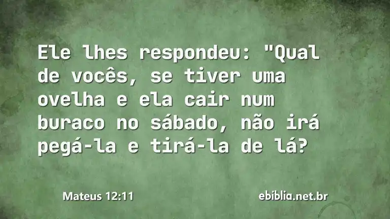 Mateus 12:11