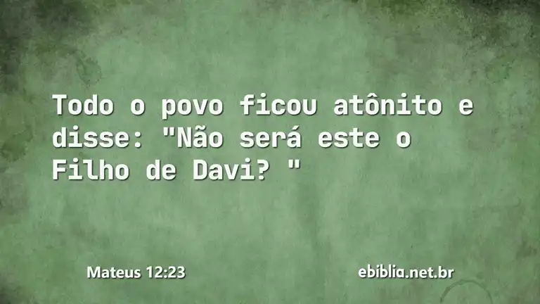 Mateus 12:23