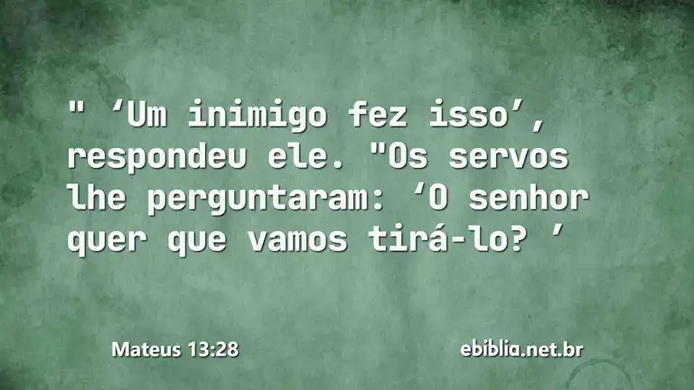 Mateus 13:28