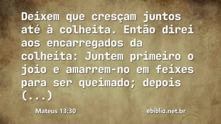 Mateus 13:30