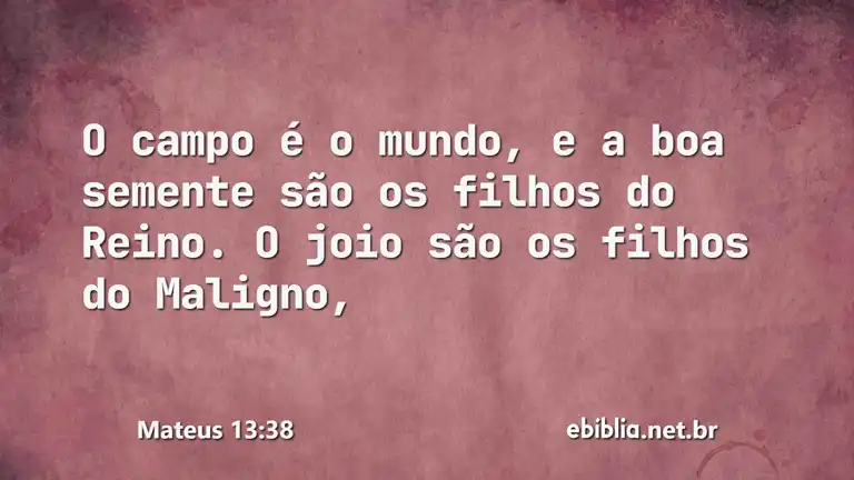 Mateus 13:38