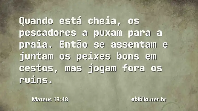 Mateus 13:48