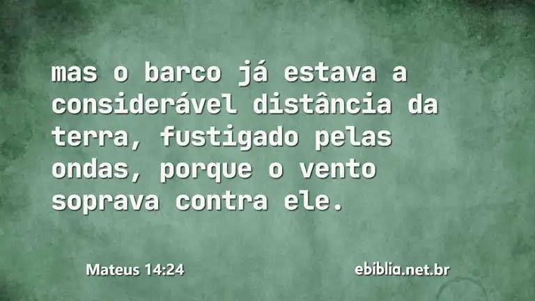 Mateus 14:24