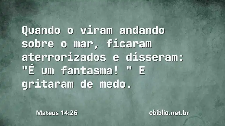 Mateus 14:26