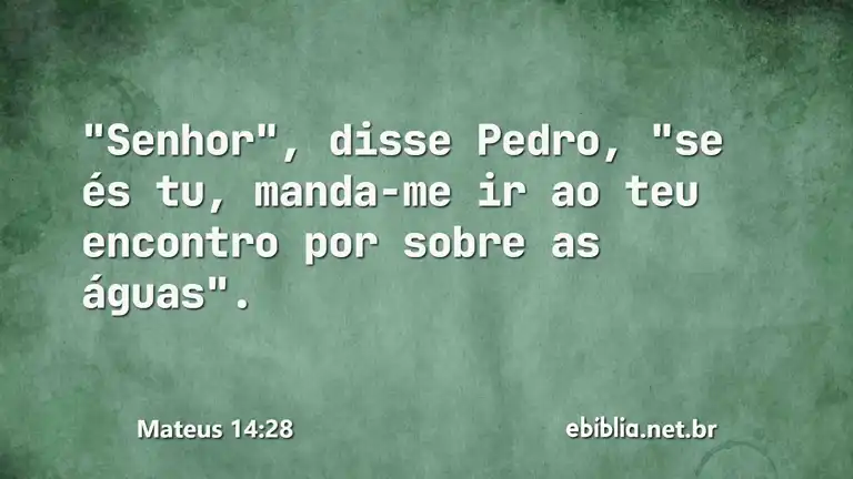 Mateus 14:28