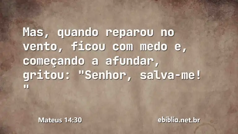 Mateus 14:30