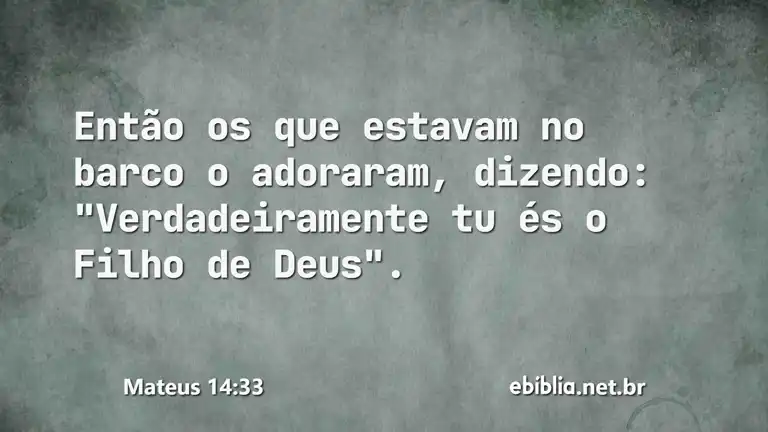 Mateus 14:33