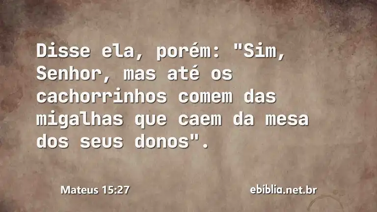 Mateus 15:27