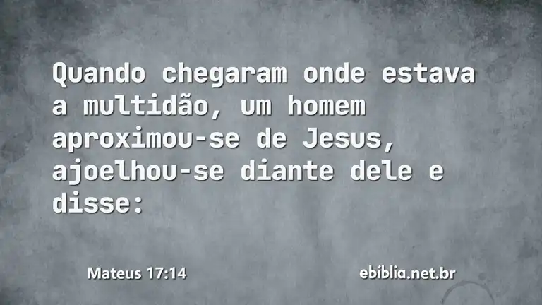 Mateus 17:14