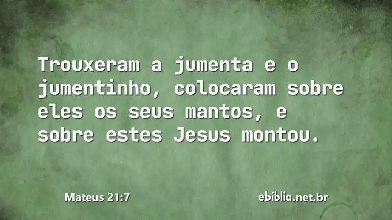 Mateus 21:7