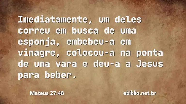 Mateus 27:48