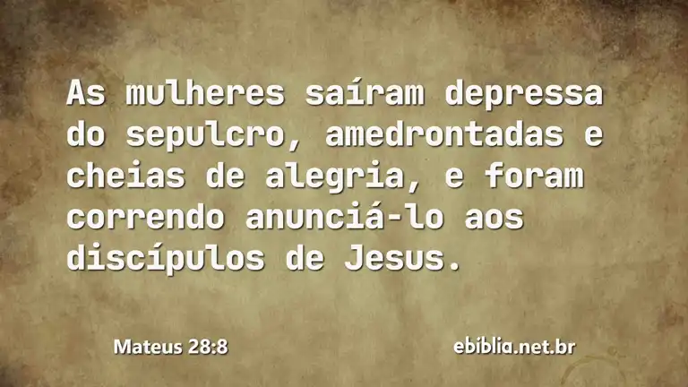 Mateus 28:8