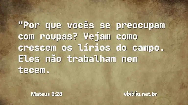 Mateus 6:28