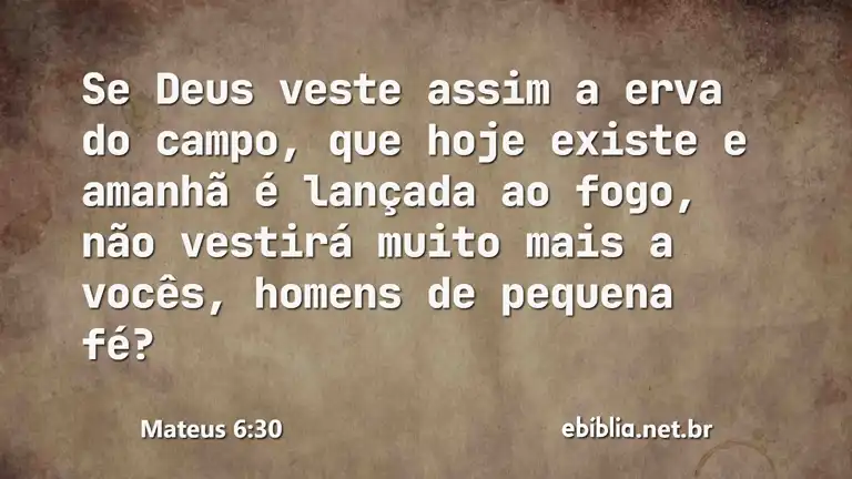 Mateus 6:30