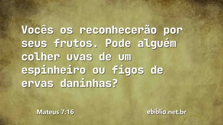 Mateus 7:16