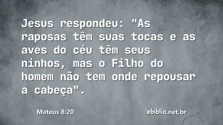 Mateus 8:20