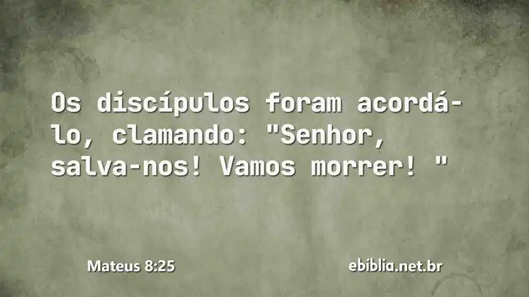 Mateus 8:25