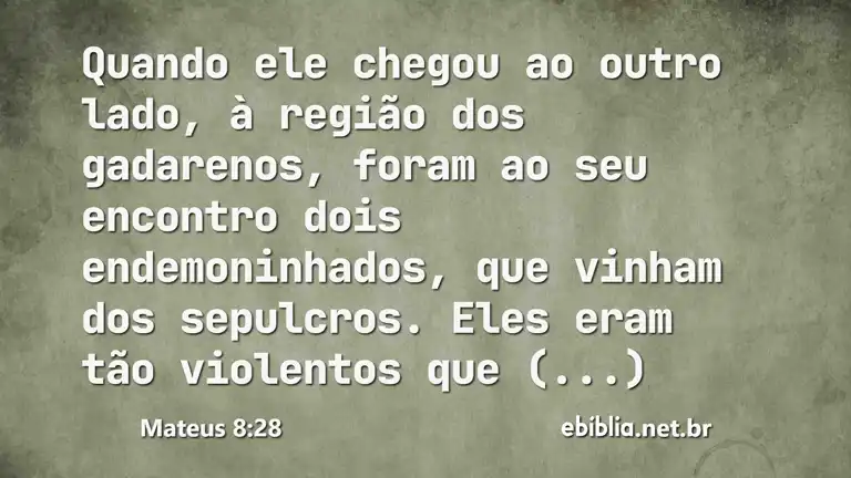 Mateus 8:28