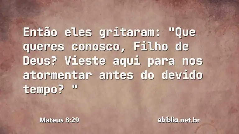 Mateus 8:29