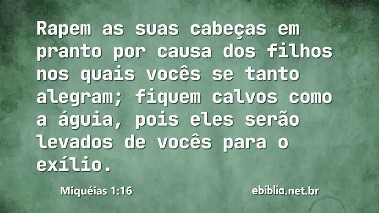 Miquéias 1:16