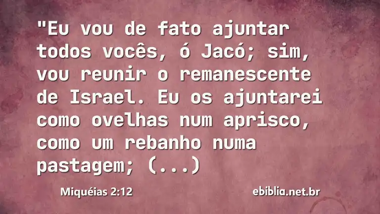 Miquéias 2:12