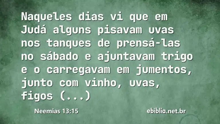 Neemias 13:15