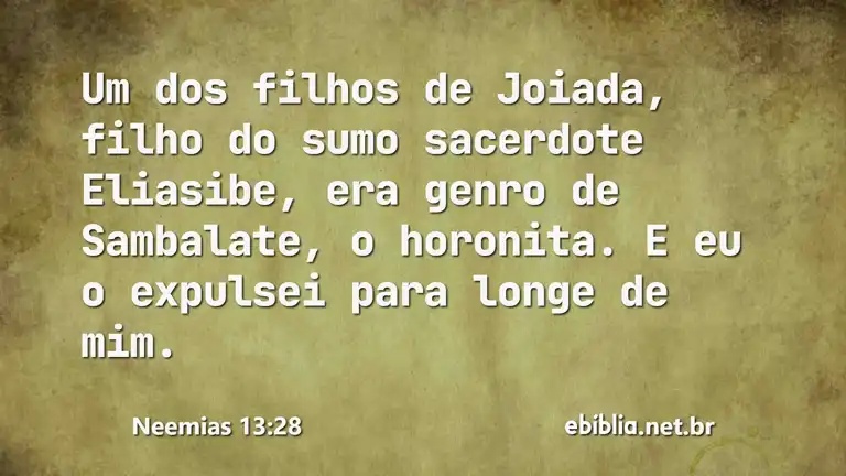 Neemias 13:28