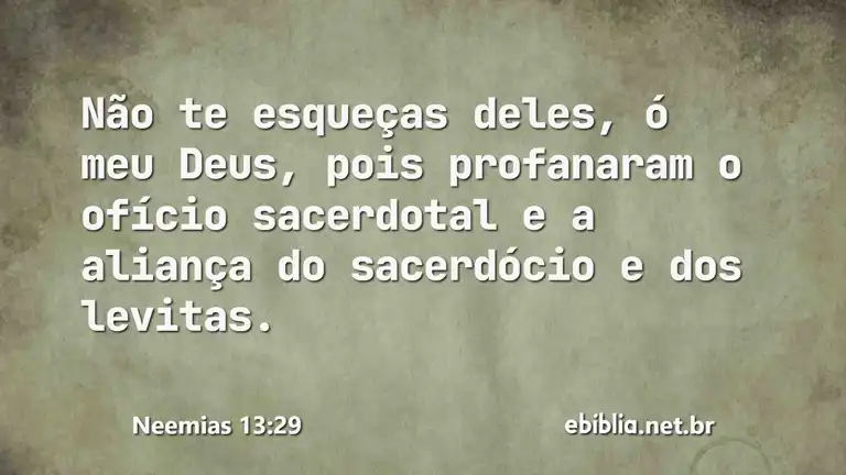 Neemias 13:29