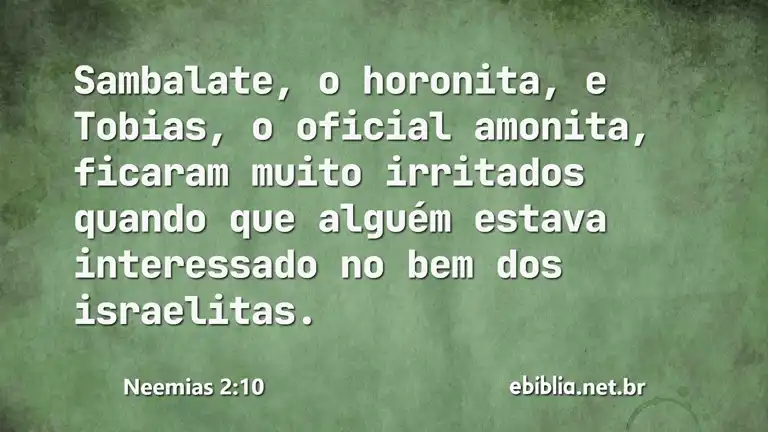 Neemias 2:10