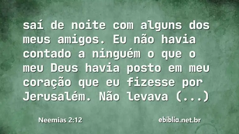 Neemias 2:12